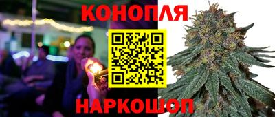 сатива Кулебаки