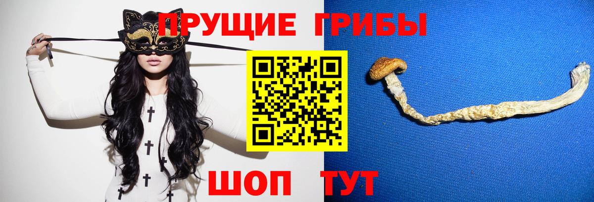 Псилоцибиновые грибы Cubensis  Псилоцибиновые грибы GOLDEN TEACHER  Вход с VPN  Канаш 