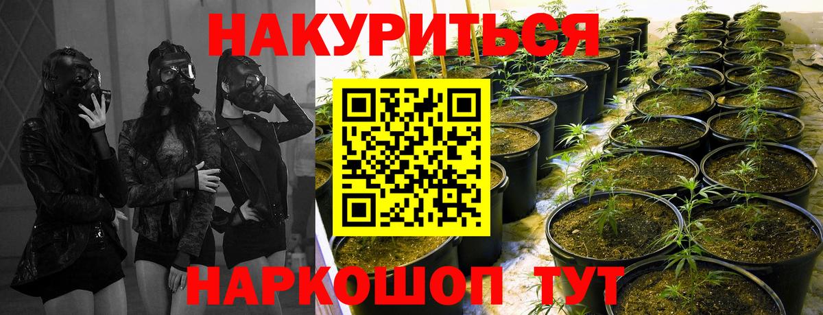 Шишки марихуана MAZAR  Шишки марихуана семена  Вход с VPN  МАРИХУАНА планчик  Канаш 